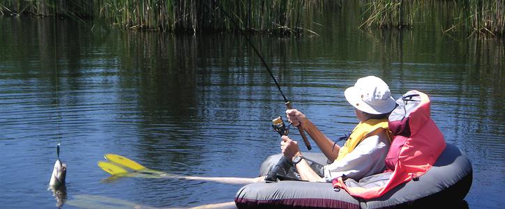 Фотоохоту и спортивную рыбалку предложат туристам на Алтае